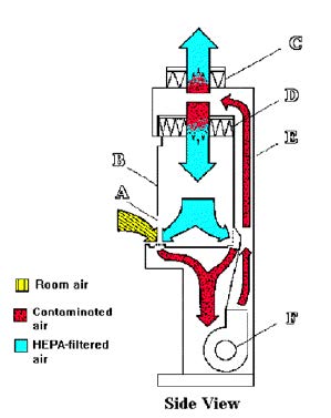 Air Flow Patterns in Biological Safety Cabinets Class II Type A