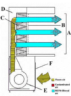 Air Flow Patterns in Biological Safety Cabinets Horizontal Flow