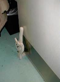door holders