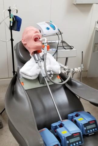 Picture of Dentistry Mannequin Picture of Dentistry Mannequin