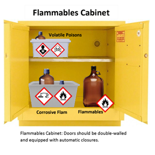 Picture of Flammable Cabinet