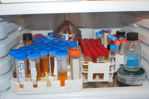 Cluttered refrigerator in Lab